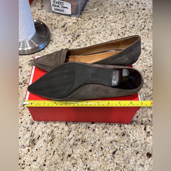 Coach Winnie Feathered Grey Suede Pointed Toe Kitten Heels - Picture 15 of 16